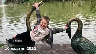 Animal Park 2022