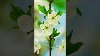 #music