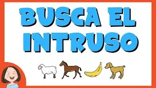 Busca el intruso | Categorías semánticas