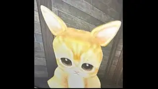 miu miaw :3
