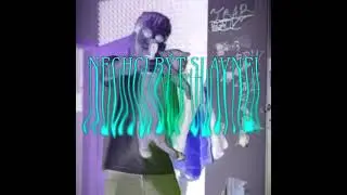 T1 - Nechci být slavnej (OFF.Visual)