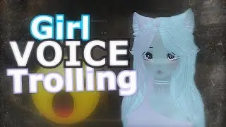 Girl Voice Troller casually joins people's VRChat lobby