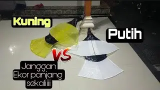 LAYANGAN JANGGAN MINI EKORNYA PANJANG SEKALI, KAYAK NAGA DI ANGKASA DOU VS PUTIH KUNING😁😁
