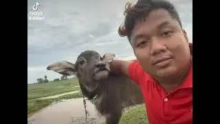 ជីវិត