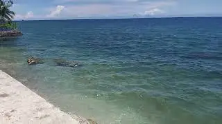 Tara ligo!