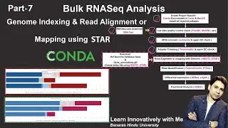 Bulk RNA-Seq Analysis Demystified: Step-by-Step Tutorial Part 7  Read Alignment or Mapping by STAR
