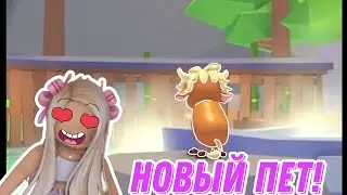 СРОЧНО!НОВЫЙ ПЕТ!АДОПТ МИ(БЫК) ЧТО БУДЕТ ПОТОМ🤫