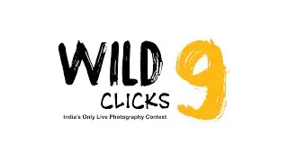Wild Clicks Season 09: 4 Days of Adventure, 4 Minutes of Magic!