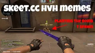 skeet.cc hvh memes