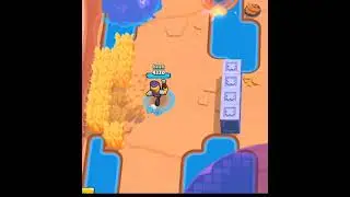 oi oi oi