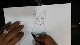Kedi Çizimi | Cat Drawing