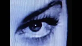 [free] (5+) darkwave + post punk loop kit 2024 - "paradox" (free mareux loop kit)