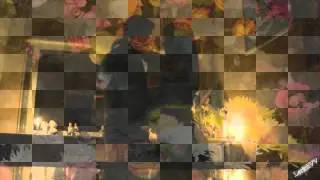 НОЧНАЯ ЗВЕЗДА ( NIGHT STAR )
