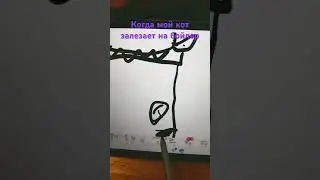 17 февраля 2024 г.