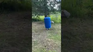 #яндекс#навигатор#гном#заблудился#tiktok#15pro #2024