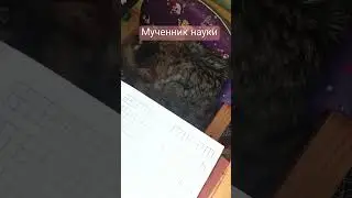Свято место пусто не бывает 😅