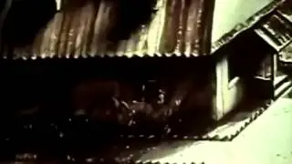 По-нашенски