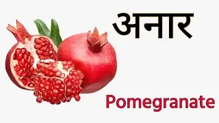 Names Of 30 Fruits In English And Hindi With Pictures : फलों के नाम : #kidssong