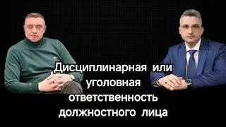Дисциплинарная ответственность должностного лица