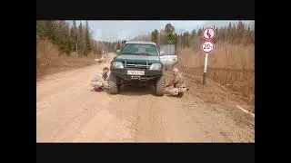 Отличный денёк в Сибирской Тайге.