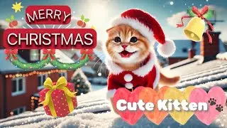 🎄🌟A Merry Christmas with a Cute Kitten!🎅🐾 We Wish You a Merry Christmas Ver.