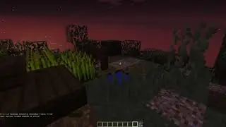 Skyblock - Порталы