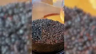 SETUP AQUATIC GRASS FISH TANK SMALL DESKTOP