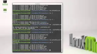 Manipulating Files (Command Line)