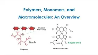 Principles of Polymer Chemistry: Monomers, Polymers, And Macromolecules An Overview (Lect 1)