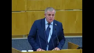 Выступление Н.В. Коломейцева в ГД ФС РФ по вопросам совершенствования налогового законодательства