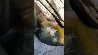 Купелт