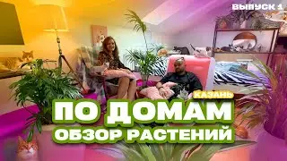 По домам! Выпуск 1. Обзор комнатных растений в Казани от Maxgreenhome! #растения #комнатныерастения