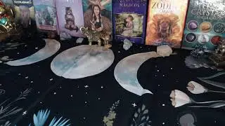 Tarot en vivo