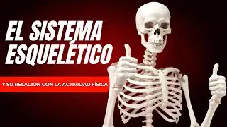 🏋️🦴 SISTEMA ESQUELÉTICO/ÓSEO en EDUCACIÓN FÍSICA [OPTIFUTURA]