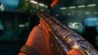 FIVE, but I can only use SHOTGUNS