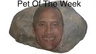 Rocks?