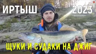 Рыбалка на реке Иртыш, сентябрь 2023. Ловля судаков и щук на джиг.