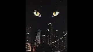 Пять самых известных котов убийц 👿👿👿The five most famous killer cats.