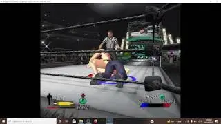 WWE Day of Reckoning: Mixed Wrestling Violet vs Stan