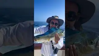 Pescando en Cancún🎣🛥️🤯 #cancun #playa #rivieramaya #cancuntravel