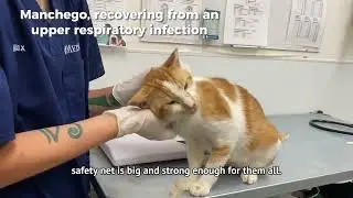 PAWS: Meet Our Newest Rescues
