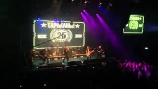 ТАРАКАНЫ! - 