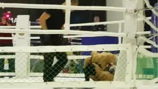 Открытый кубок по ММА.г.Атырау. 17.12.16 Бой между Самат Жагыпаров и Б.Амирханов