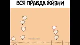 В очереди вся правда жизни