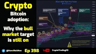 E398 Crypto - Bitcoin adoption:  Why the bull market target is still on