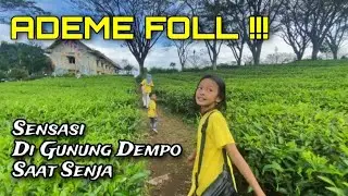 Serunya Main di Kebun Teh dan Gunung Dempo Kala Senja Bareng Keluarga