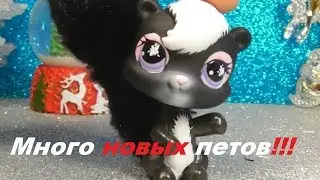 LPS: САМЫЙ СМЕШНОЙ В МИРЕ ПЕТ!!! НОВИНКИ!!!