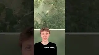 Never Stand Underneath These Trees