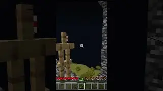 Minecraft I Got So Lucky 😲(World's Smallest Violin)