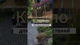 Плетеные кашпо в дизайне сада. 